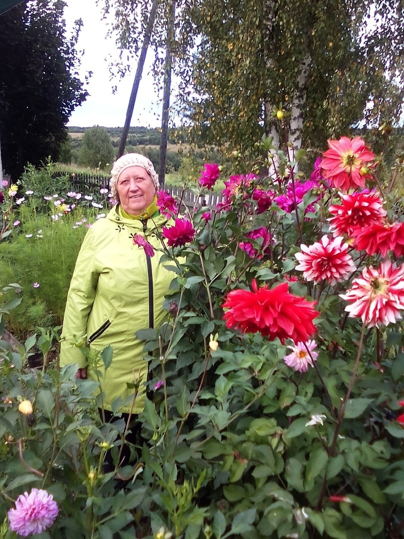 «Солнца сын-прекрасный Георгин»