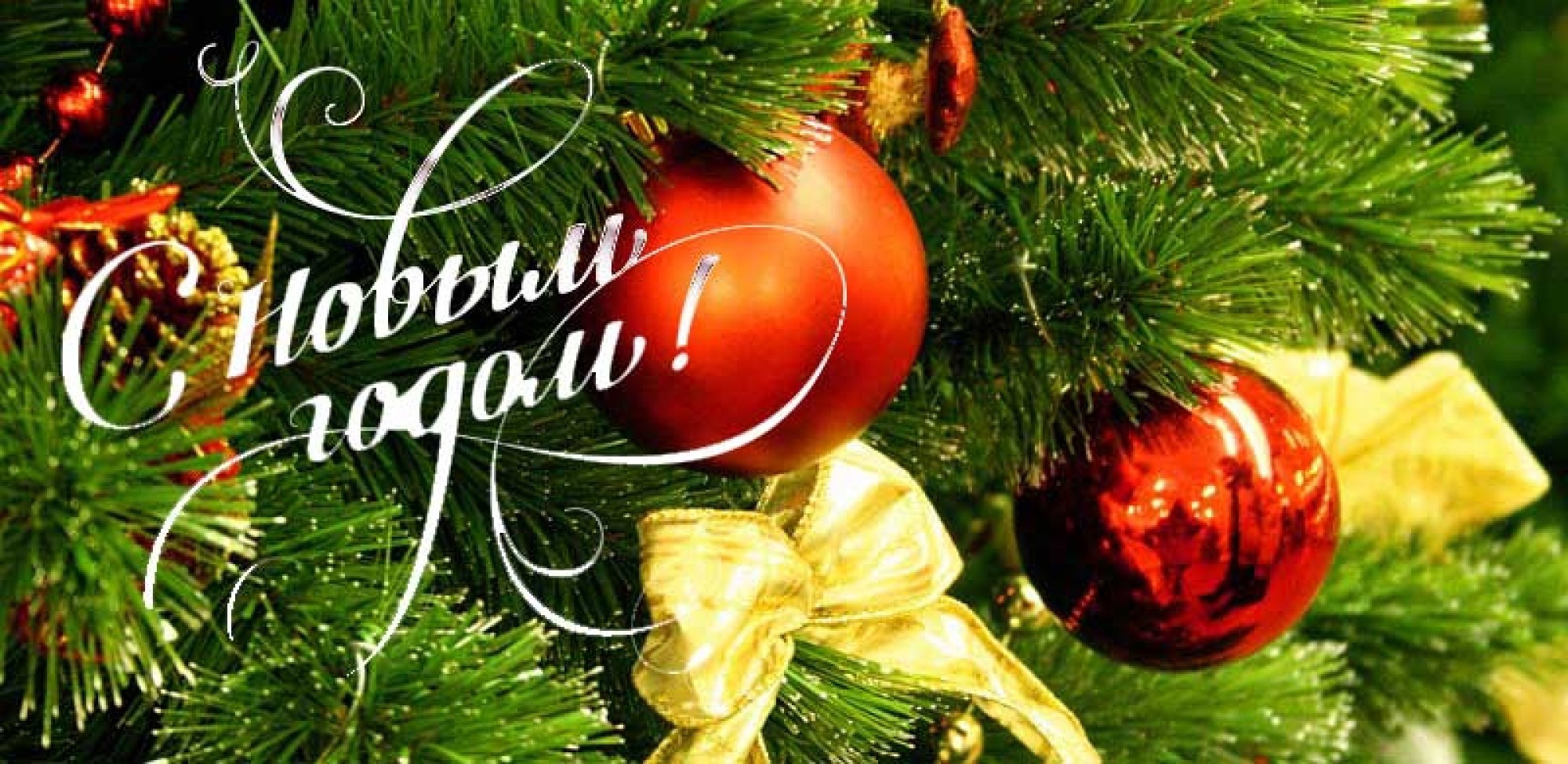 Примите самые душевные поздравления с Новым Годом 2023!