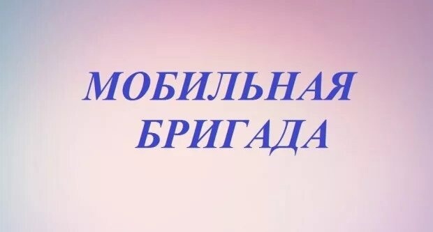 21 августа состоялся выезд мобильной бригады в отдаленные территории Тотемского муниципального округа: деревни Кудринскую и Паново, поселок Крутая Осыпь.