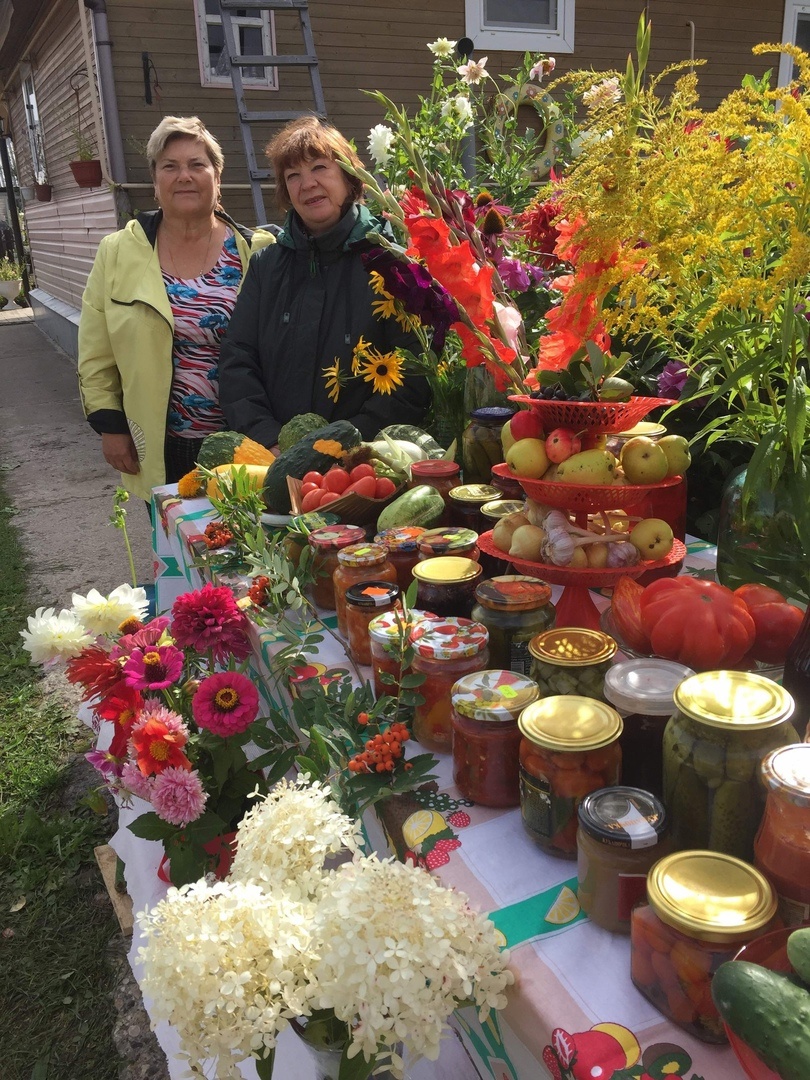 «Урожайная грядка»